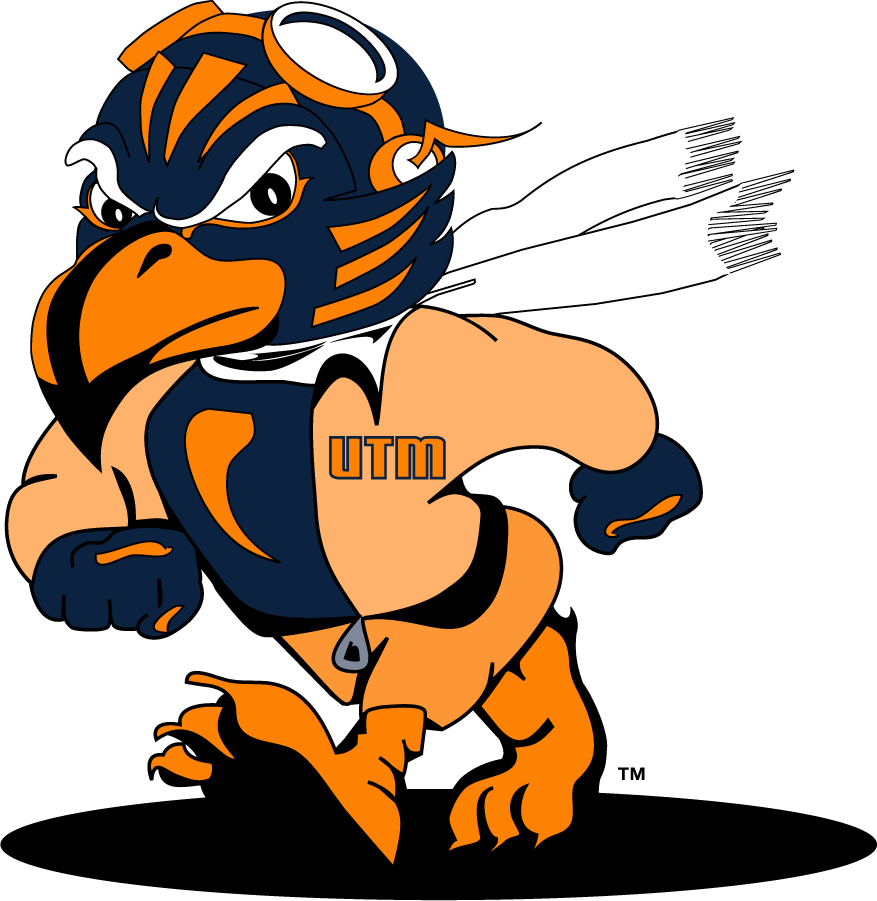 Tennessee-Martin Skyhawks 2007-2020 Mascot Logo v2 iron on transfers for T-shirts